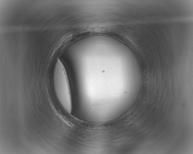 X0000061750738200512021111