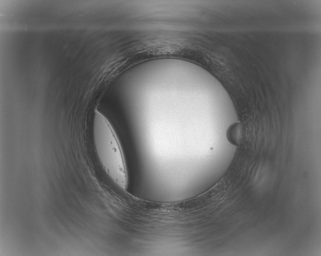X0000061750743200512021111