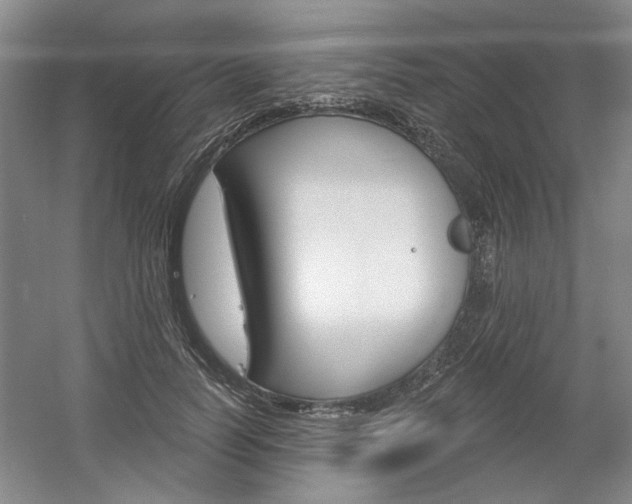 X0000061750746200512021111