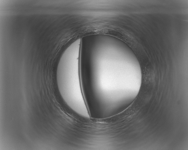 X0000061750748200512021111