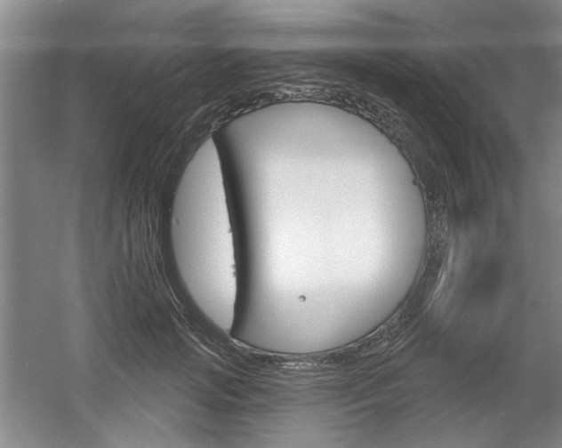 X0000061750749200512021111