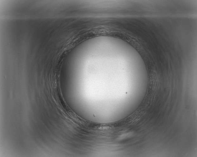 X0000061750751200512021111