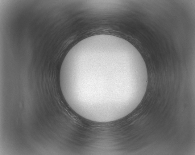 X0000061750762200512021112
