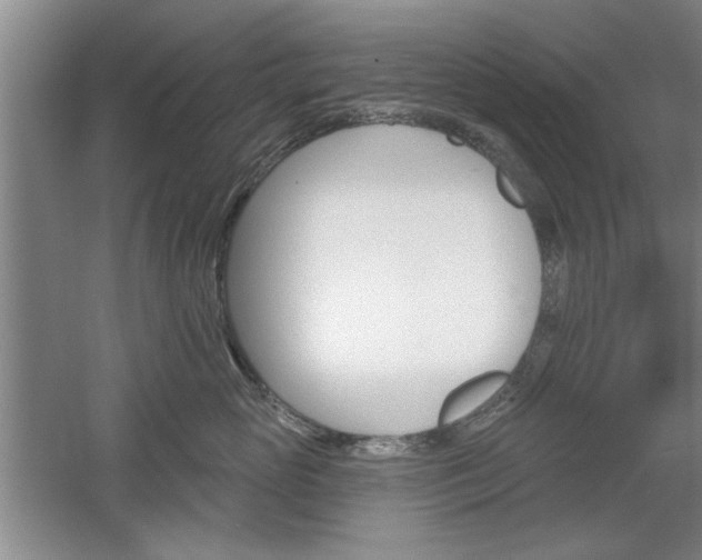 X0000061750765200512021112