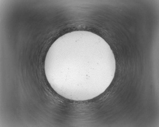X0000061750769200512021111