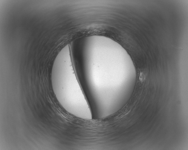 X0000061750771200512021111