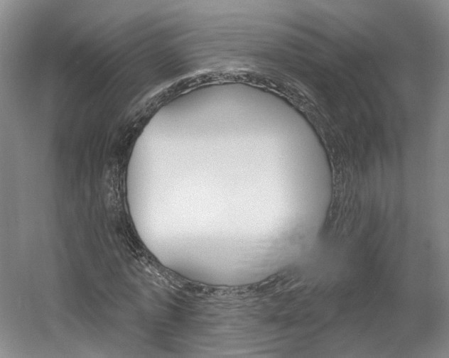 X0000061750773200512021111