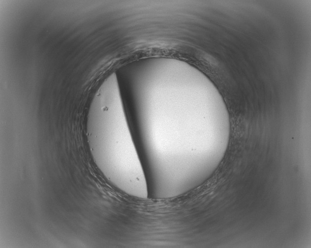 X0000061750774200512021111
