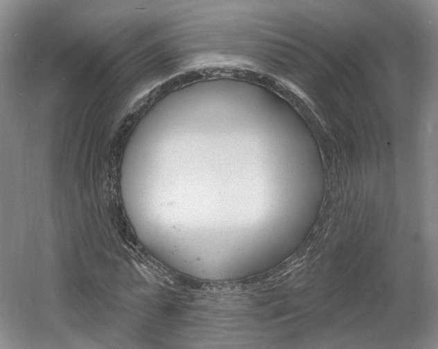 X0000061750775200512021111