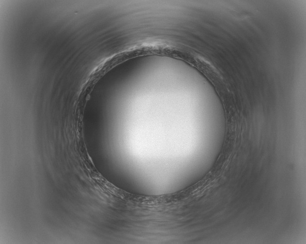 X0000061750776200512021111