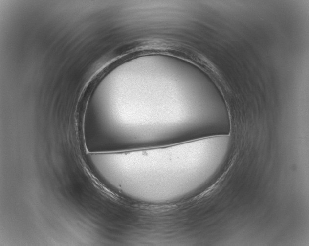 X0000061750779200512021111