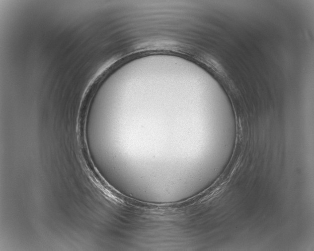 X0000061750780200512021111