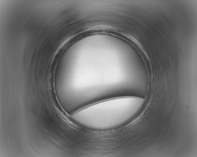 X0000061750783200512021111