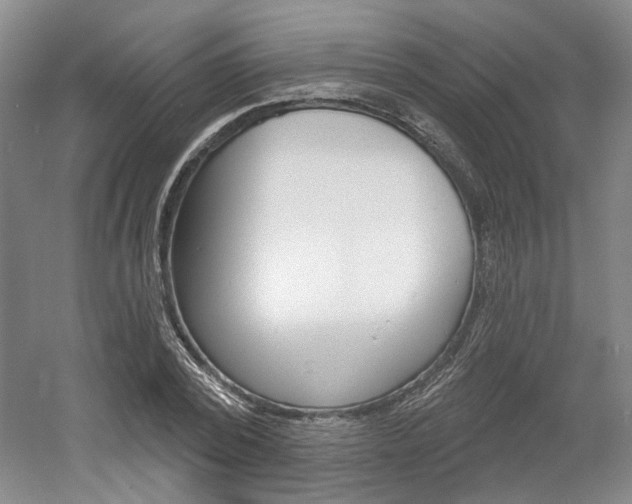 X0000061750784200512021111