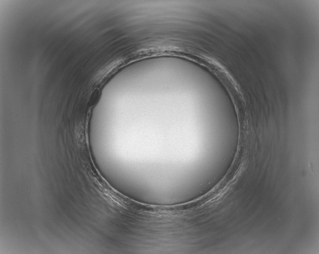 X0000061750785200512021111