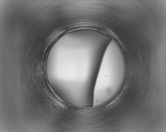 X0000061750786200512021111