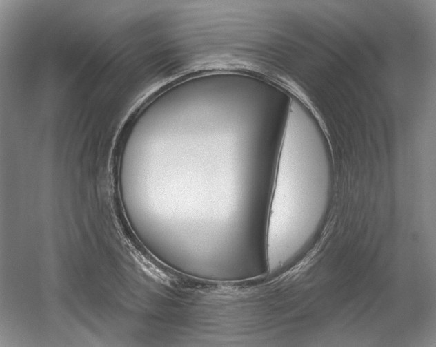 X0000061750787200512021111