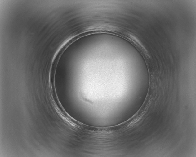 X0000061750788200512021111