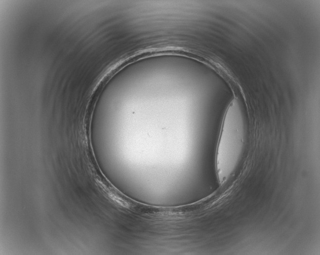 X0000061750789200512021111