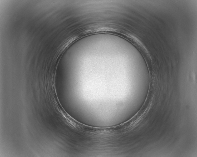 X0000061750793200512021110