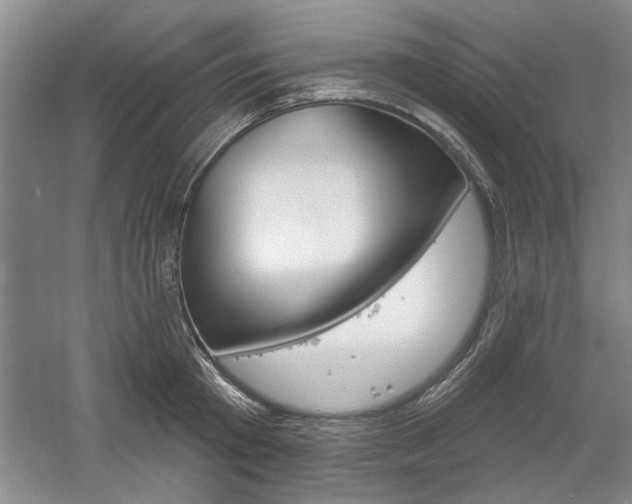 X0000061750801200512021110