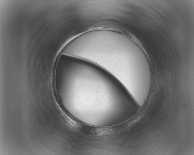 X0000061750803200512021110