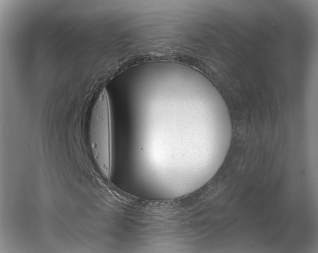 X0000061750817200512021109