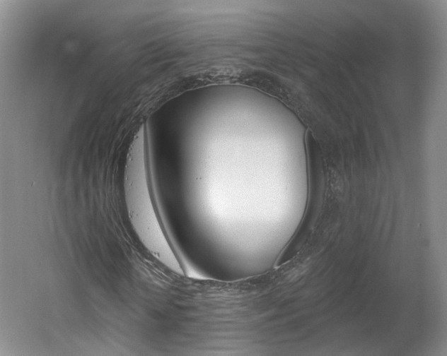 X0000061750818200512021109