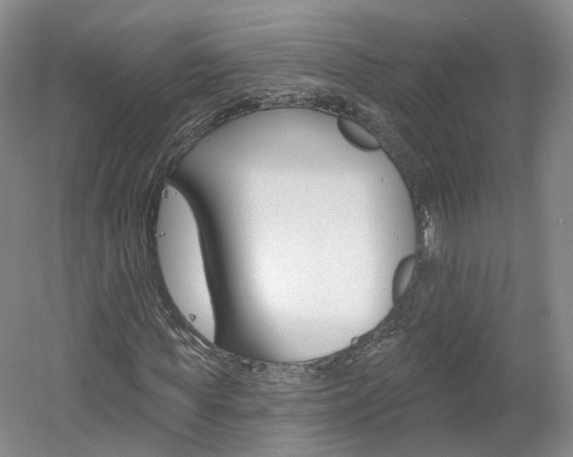 X0000061750819200512021109