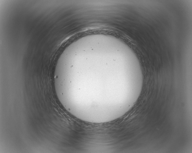 X0000061750822200512021109