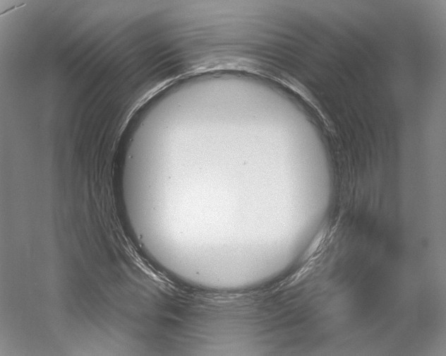 X0000061750826200512021109