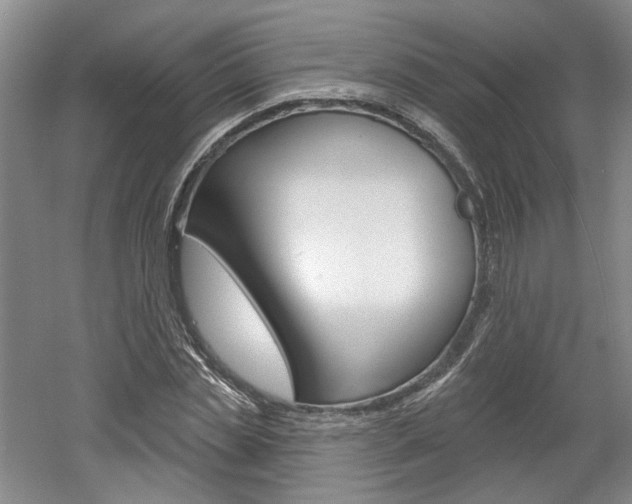 X0000061750829200512021109
