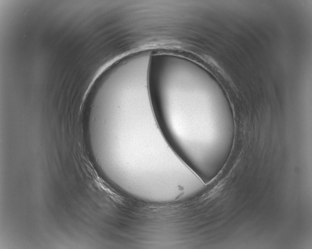 X0000061750830200512021109