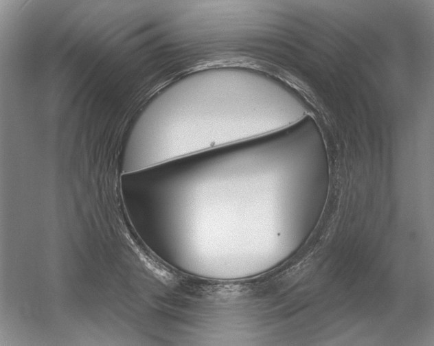 X0000061750841200512021110