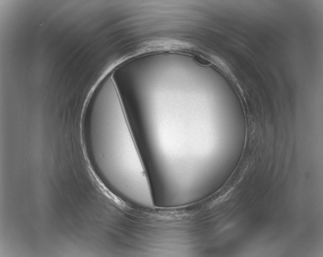 X0000061750843200512021110