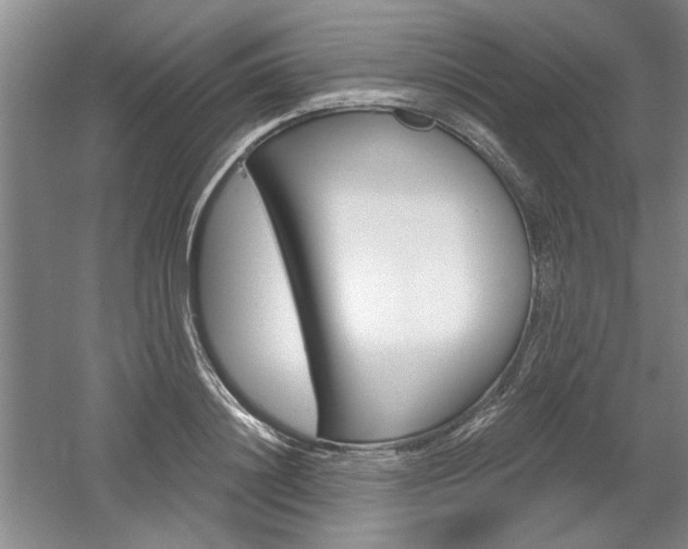 X0000061750844200512021110