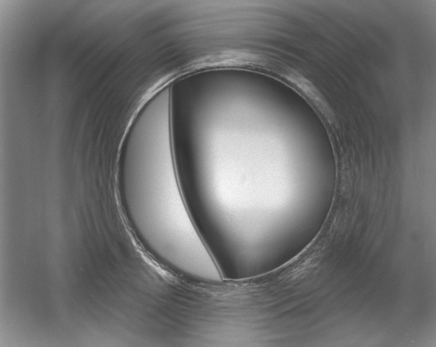 X0000061750850200512021110
