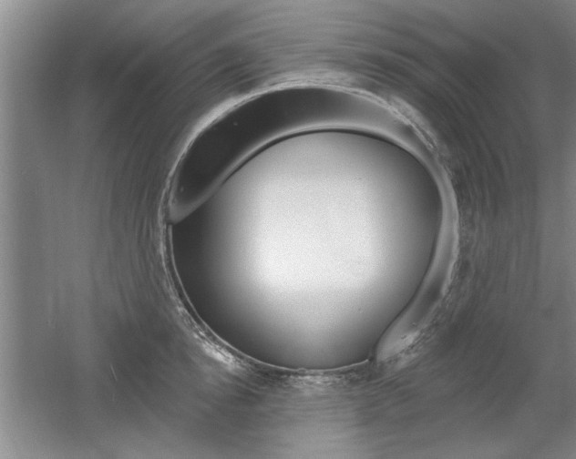 X0000061750854200512021110