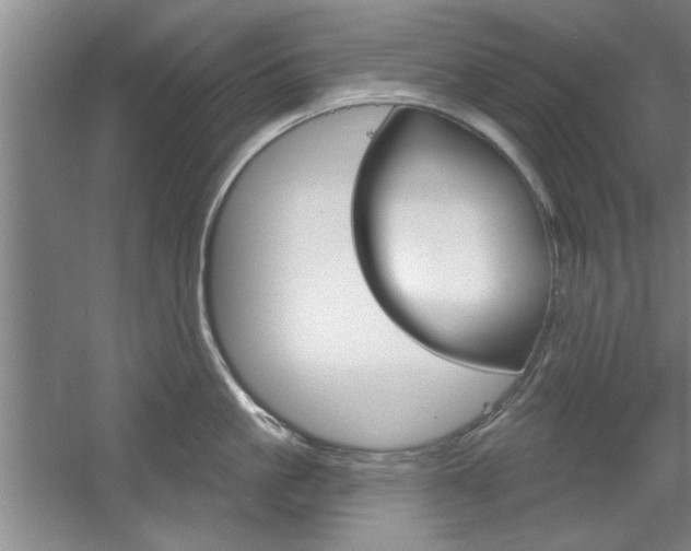 X0000061750861200512021110