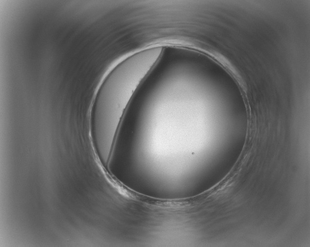 X0000061750862200512021110