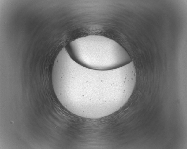 X0000061750866200512021109