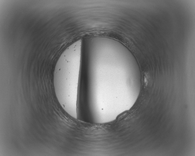 X0000061750867200512021109