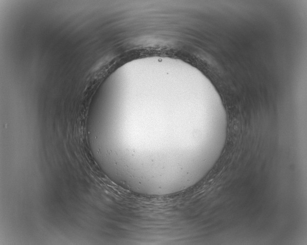 X0000061750869200512021109