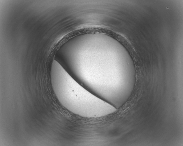 X0000061750871200512021109