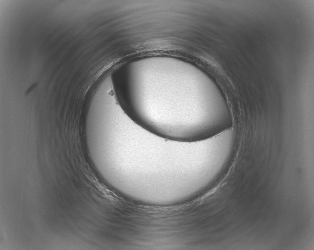 X0000061750873200512021109