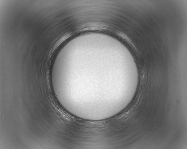 X0000061750874200512021109