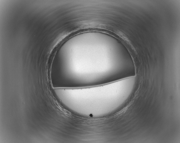 X0000061750877200512021109