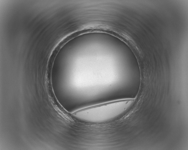 X0000061750880200512021109