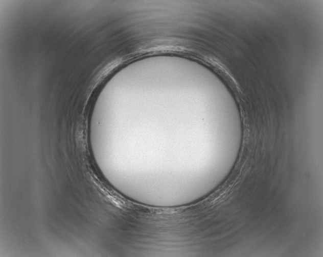 X0000061750882200512021109
