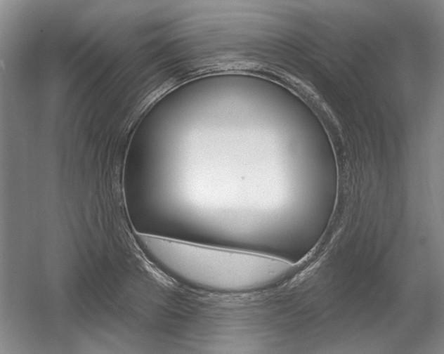 X0000061750889200512021109